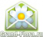 Логотип компании Доставка цветов Гранд Флора (ф-л г.Тобольск)