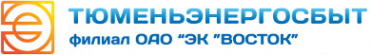 Логотип компании Тюменьэнергосбыт