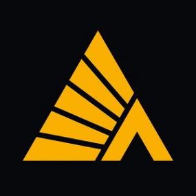 Логотип компании Деловые Линии Тобольск